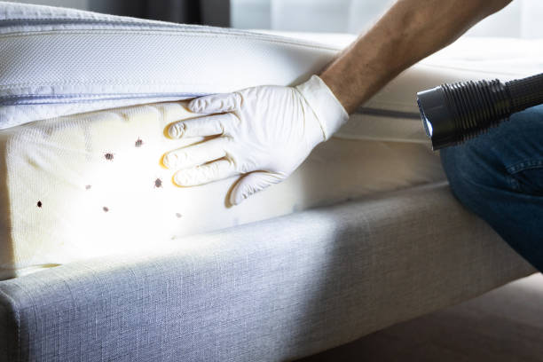 Pest Control Cost in Sharpsville, PA